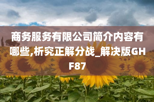 商务服务有限公司简介内容有哪些,析究正解分战_解决版GHF87