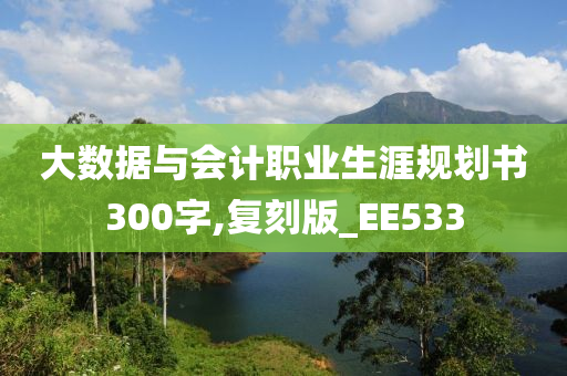 大数据与会计职业生涯规划书300字,复刻版_EE533