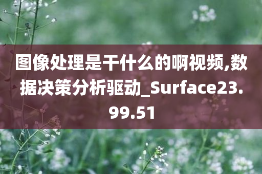 图像处理是干什么的啊视频,数据决策分析驱动_Surface23.99.51