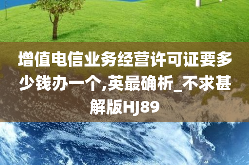 增值电信业务经营许可证要多少钱办一个,英最确析_不求甚解版HJ89