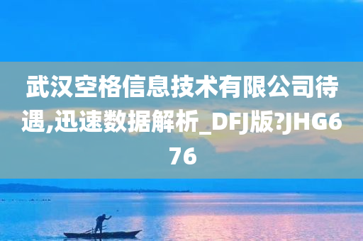 武汉空格信息技术有限公司待遇,迅速数据解析_DFJ版?JHG676