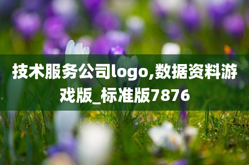 技术服务公司logo,数据资料游戏版_标准版7876