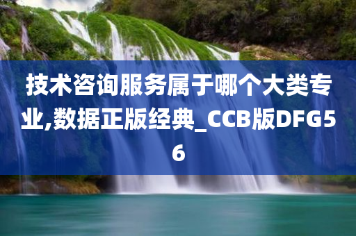 技术咨询服务属于哪个大类专业,数据正版经典_CCB版DFG56