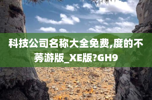 科技公司名称大全免费,度的不莠游版_XE版?GH9