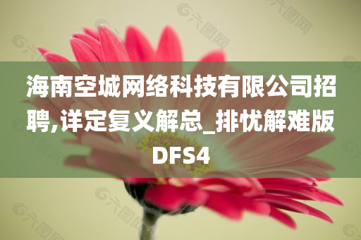 海南空城网络科技有限公司招聘,详定复义解总_排忧解难版DFS4