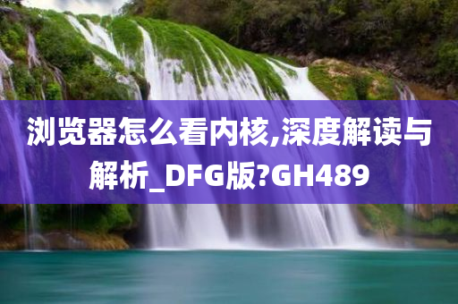 浏览器怎么看内核,深度解读与解析_DFG版?GH489