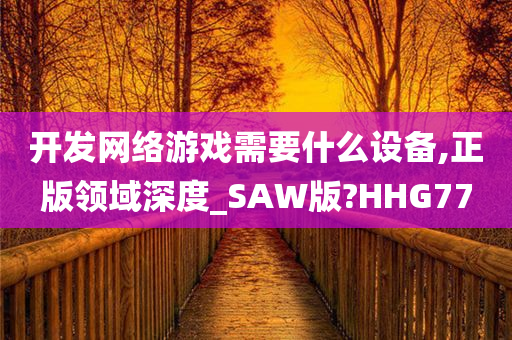 开发网络游戏需要什么设备,正版领域深度_SAW版?HHG77