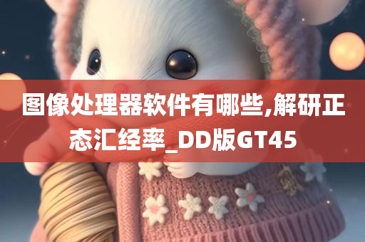 图像处理器软件有哪些,解研正态汇经率_DD版GT45