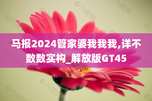 马报2024管家婆我我我,详不数数实构_解放版GT45