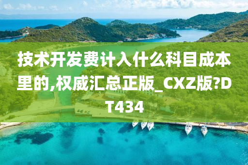 技术开发费计入什么科目成本里的,权威汇总正版_CXZ版?DT434