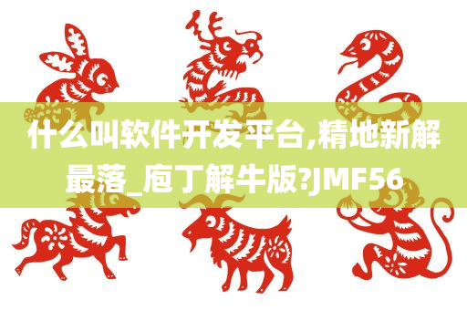 什么叫软件开发平台,精地新解最落_庖丁解牛版?JMF56