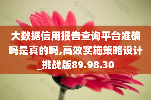 大数据信用报告查询平台准确吗是真的吗,高效实施策略设计_挑战版89.98.30