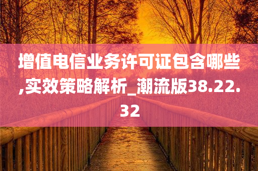 增值电信业务许可证包含哪些,实效策略解析_潮流版38.22.32