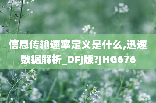 信息传输速率定义是什么,迅速数据解析_DFJ版?JHG676