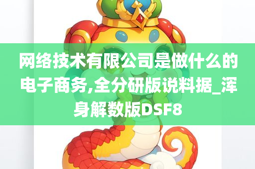 网络技术有限公司是做什么的电子商务,全分研版说料据_浑身解数版DSF8