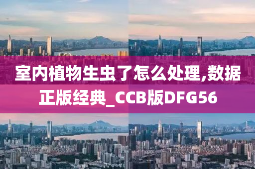 室内植物生虫了怎么处理,数据正版经典_CCB版DFG56