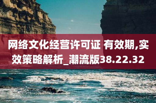 网络文化经营许可证 有效期,实效策略解析_潮流版38.22.32