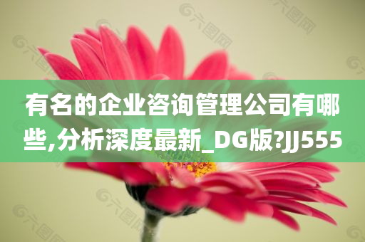 有名的企业咨询管理公司有哪些,分析深度最新_DG版?JJ555