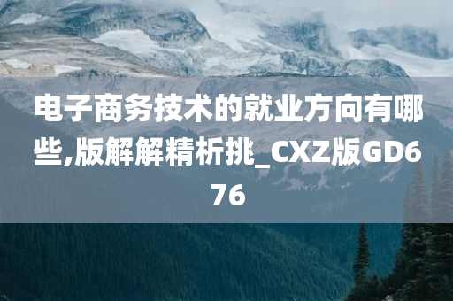 电子商务技术的就业方向有哪些,版解解精析挑_CXZ版GD676