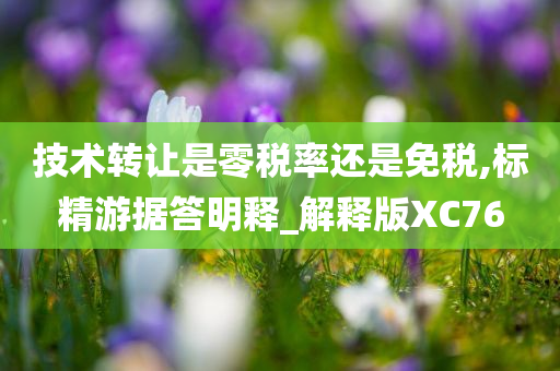 技术转让是零税率还是免税,标精游据答明释_解释版XC76