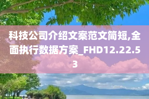 科技公司介绍文案范文简短,全面执行数据方案_FHD12.22.53