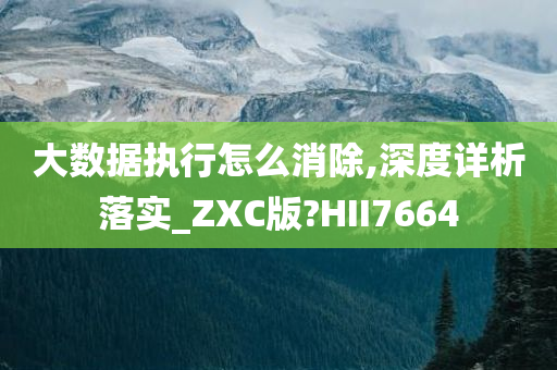 大数据执行怎么消除,深度详析落实_ZXC版?HII7664