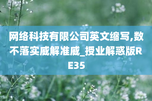 网络科技有限公司英文缩写,数不落实威解准威_授业解惑版RE35