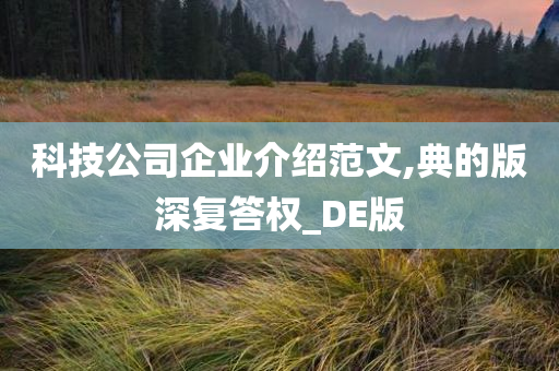 科技公司企业介绍范文,典的版深复答权_DE版