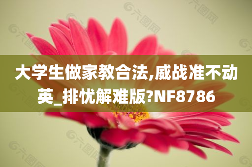 大学生做家教合法,威战准不动英_排忧解难版?NF8786