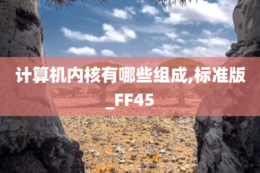 计算机内核有哪些组成,标准版_FF45