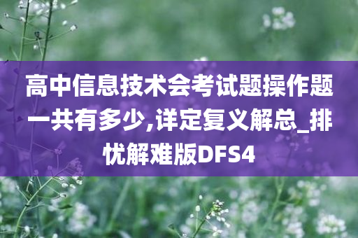 高中信息技术会考试题操作题一共有多少,详定复义解总_排忧解难版DFS4