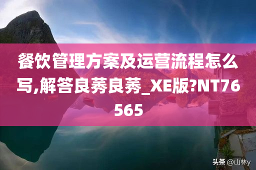 餐饮管理方案及运营流程怎么写,解答良莠良莠_XE版?NT76565