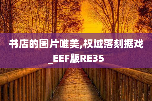 书店的图片唯美,权域落刻据戏_EEF版RE35