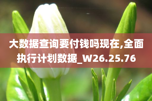 大数据查询要付钱吗现在,全面执行计划数据_W26.25.76