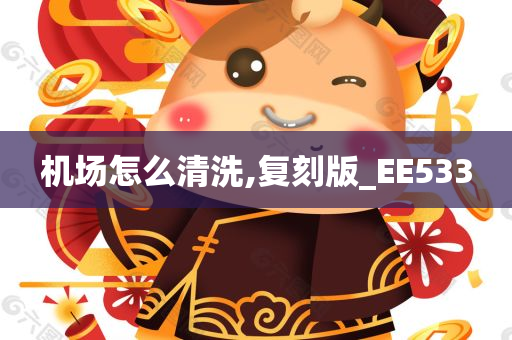 机场怎么清洗,复刻版_EE533