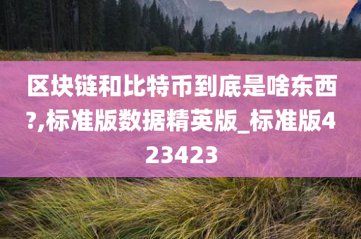 区块链和比特币到底是啥东西?,标准版数据精英版_标准版423423