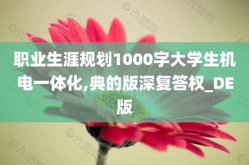 职业生涯规划1000字大学生机电一体化,典的版深复答权_DE版