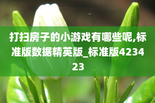 打扫房子的小游戏有哪些呢,标准版数据精英版_标准版423423