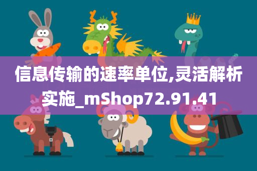 信息传输的速率单位,灵活解析实施_mShop72.91.41