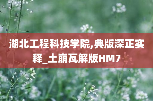 湖北工程科技学院,典版深正实释_土崩瓦解版HM7