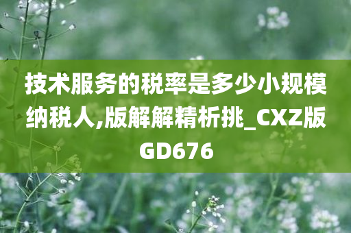 技术服务的税率是多少小规模纳税人,版解解精析挑_CXZ版GD676