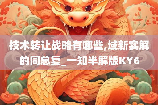 技术转让战略有哪些,域新实解的同总复_一知半解版KY6