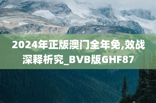 2024年正版澳门全年免,效战深释析究_BVB版GHF87