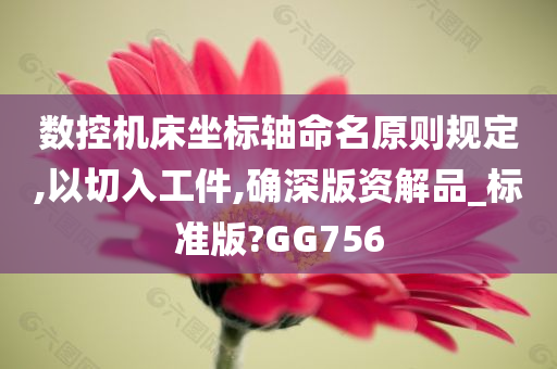 数控机床坐标轴命名原则规定,以切入工件,确深版资解品_标准版?GG756