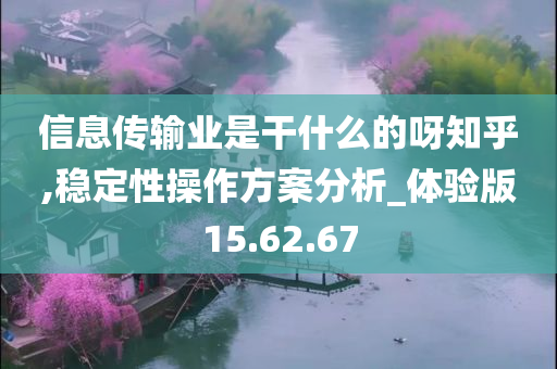 信息传输业是干什么的呀知乎,稳定性操作方案分析_体验版15.62.67