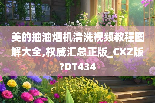 美的抽油烟机清洗视频教程图解大全,权威汇总正版_CXZ版?DT434