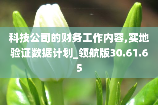 科技公司的财务工作内容,实地验证数据计划_领航版30.61.65