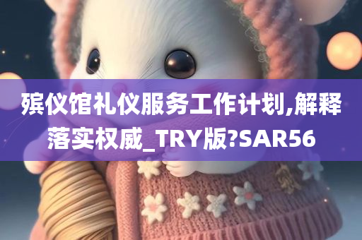 殡仪馆礼仪服务工作计划,解释落实权威_TRY版?SAR56