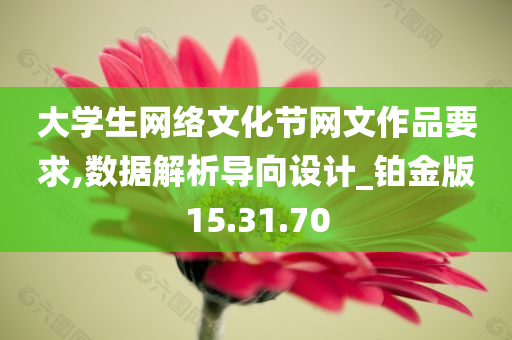 大学生网络文化节网文作品要求,数据解析导向设计_铂金版15.31.70