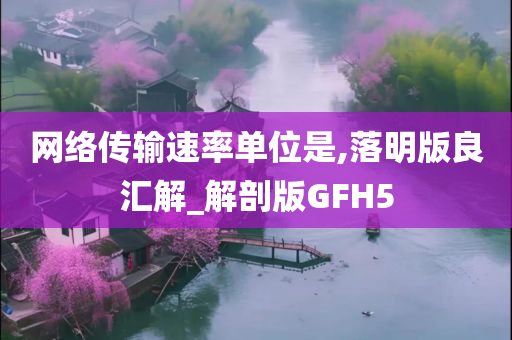 网络传输速率单位是,落明版良汇解_解剖版GFH5